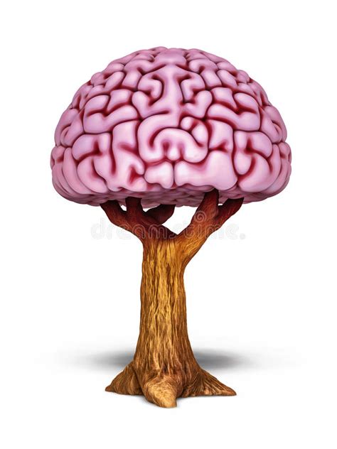 Brain Tree Illustration Stock Illustration Illustration Of Power