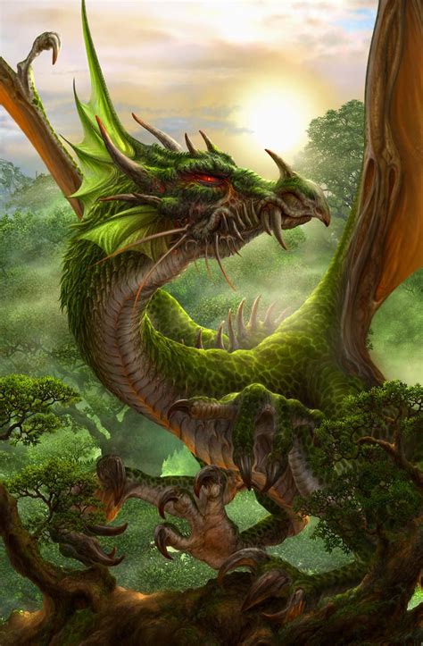 Forest Dragon Fantasy Dragon Dragon Pictures Fantasy Creatures