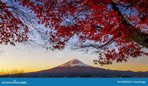 Fuji Mountain With Red Maple Tree In Autumn Morning Twilight At