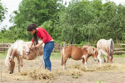 Woman Taking Care Of Farm Animals By Mosuno Animal Farmer Stocksy