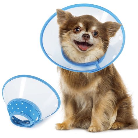 What Size Cone Should I Get For My Dog