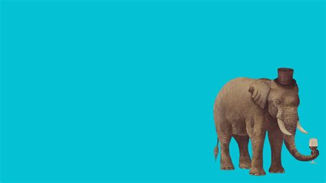 Gray Elephant Illustration Elephant Minimalism Animals Hd Wallpaper