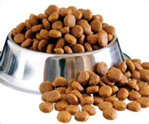 Ultamino dog food side effects. Daughters of Overbearing Mums Have Disordered Eating Attitudes