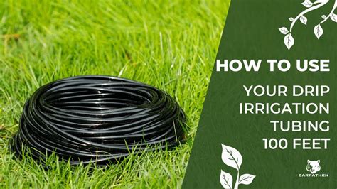 How To Use The Carpathen Drip Irrigation Tubing Youtube