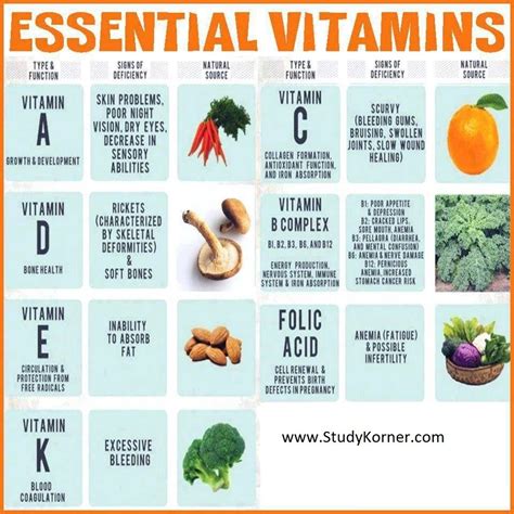 How Are Vitamins Different From Other Nutrients Postureinfohub