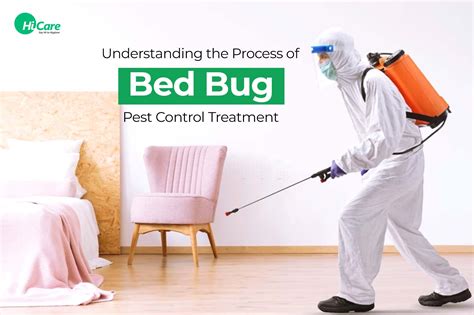 bed bug pest control understanding the treatment process hicare