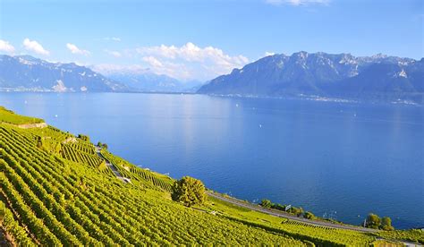 Which Countries Share Lake Geneva? - WorldAtlas