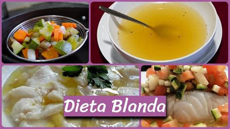 Como nos clara rueda, en la dieta blanda se incluyen alimentos fáciles de digerir, exentos de grasas, ácidos, fibra y condimentos, que puedan irritar. Tipos fundamentales de dietas hospitalarias - Mi Rincón de Bioquímica y Nutrición