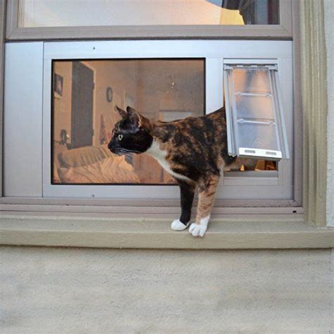 With our jigsaw, we cut the board to fit our window height. A Cat Coming Out From Flap Window - Cat Flap Door Windows At Pet Door Products - Pet Door Products