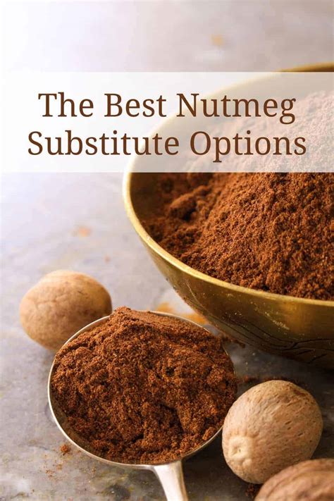 The Best Nutmeg Substitute Options