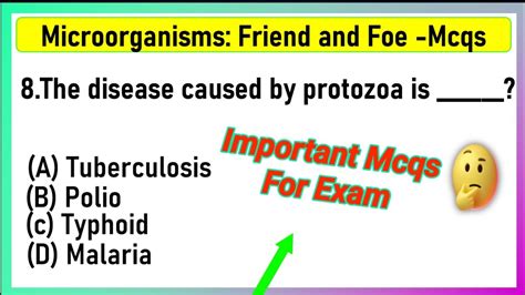 Class 8 Science Chapter 2 Microorganisms Friends And Foe Mcq Class