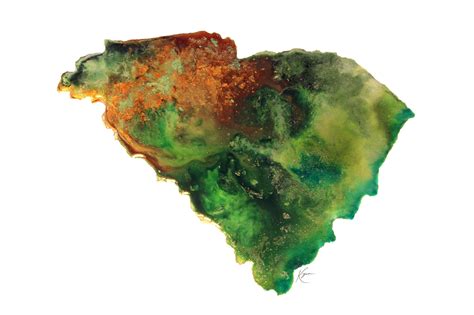 South Carolina Topography Print Etsy