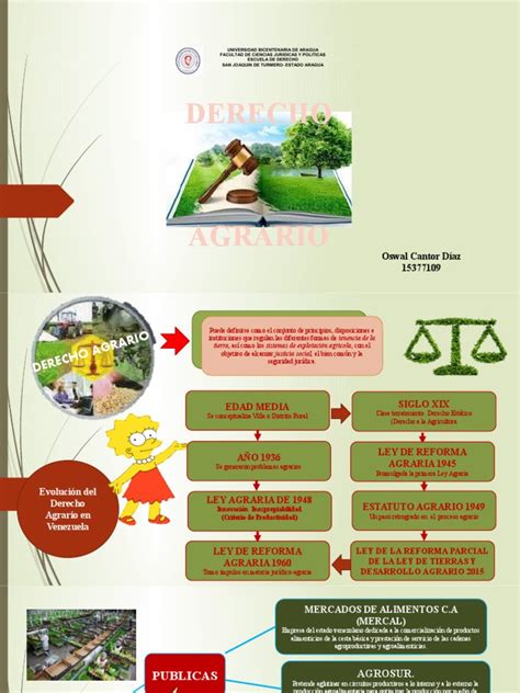 Mapa Mental Derecho Agrario Pdf Agricultura Propiedad