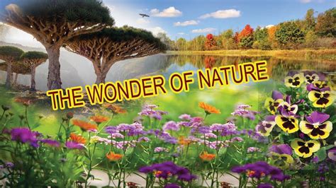 The Wonder Of Nature Youtube