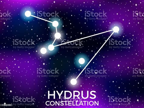 Hydrus Constellation Starry Night Sky Zodiac Sign Cluster Of Stars And