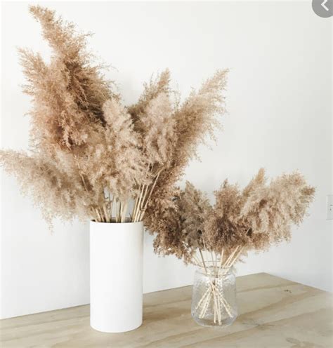 6pc X 4ft Natural Fluffy Pampas Grass Dried Florals Dried Etsy