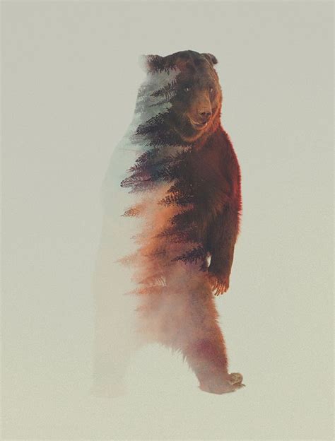26 Best Double Exposure Animal Portraits By Andreas Lie Images On Pinterest