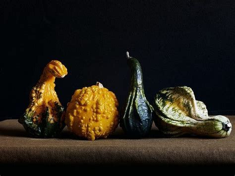 Kiki Xue Pumpkins в г Картины маслом Тыквы Натюрморт