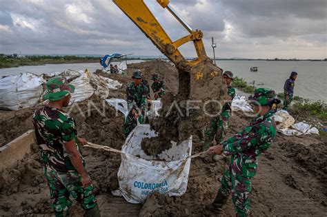 Perbaikan Tanggul Sungai Wulan Yang Jebol Di Demak Antara Foto