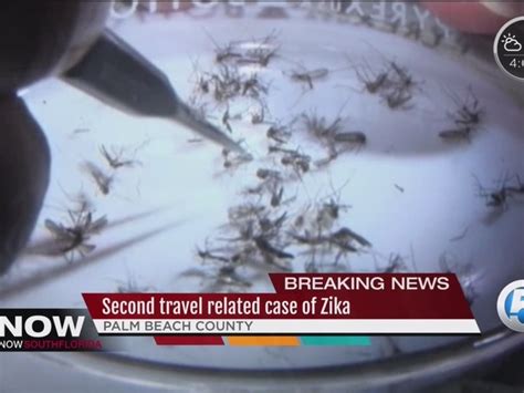 2nd Zika Case Reported In Palm Beach County