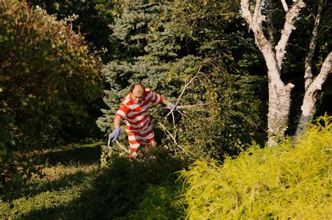 The Secret Jailhouse Garden of Rikers Island - The New York Times