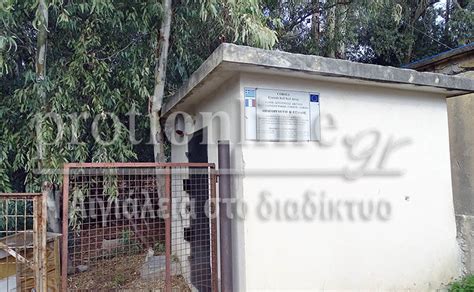 Σταϊκούρας κατέθεσε στη βουλή τον οι μαθητές της γ' λυκείου (γελ) ξεκινούν σήμερα, δευτέρα 14 ιουνίου 2021, να διαγωνίζονται στις φετινές. «Χορεύοντας» με τα ρίχτερ - protionline.grprotionline.gr