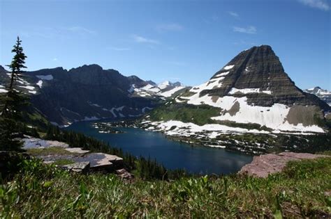 Logan Pass Glacier National Park 2020 All You Need To