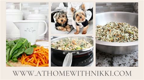 Homemade Dog Food Cooking For Your Pet Youtube