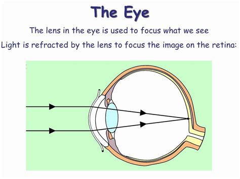 Gcse Physics Revision Mirrors And Lenses Youtube