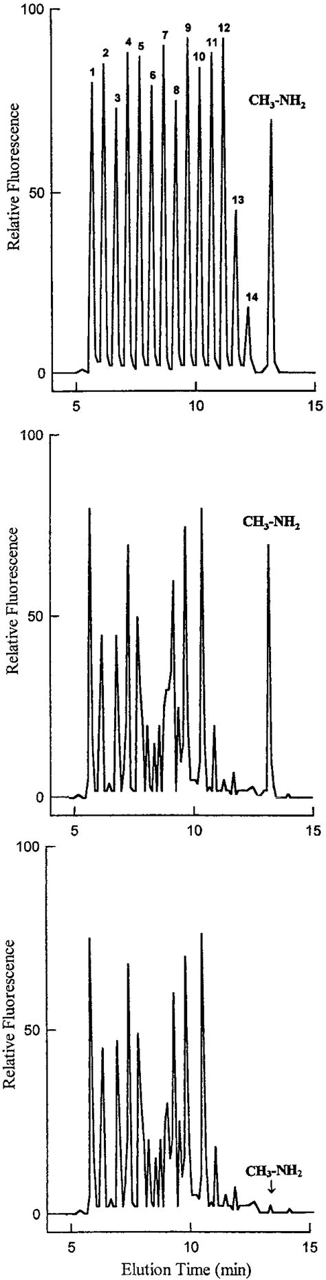 Typical HPLC Determination Of Methylamine CH 3 NH 2 Coming From The