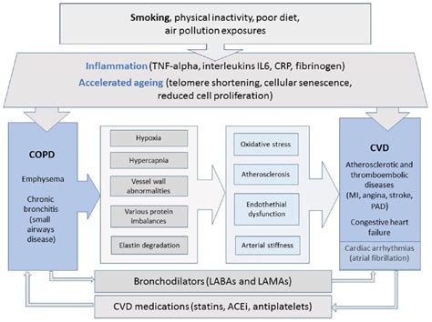 defining the relationship between copd and cvd what are the implications for clinical practice