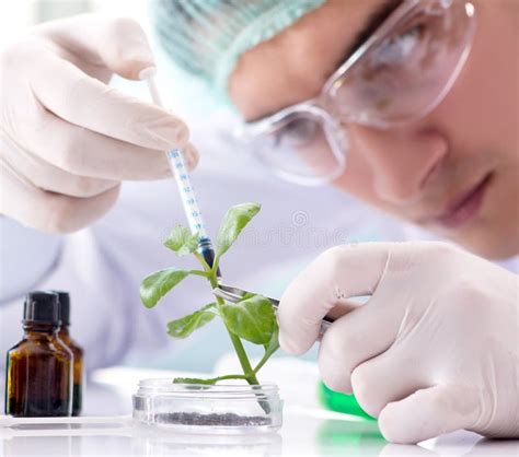 Biotechnology Concept With Scientist In Lab Stock Photo Image Of Drop