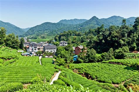 12 Top Rated Attractions And Things To Do In Hangzhou Planetware