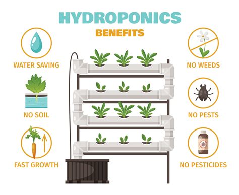 What Is Hydroponic Farming Beginners Guide