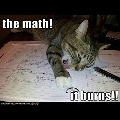 Cat Math Jokes Furthermore Math For Dummies Cartoon Also Funny Nerdy