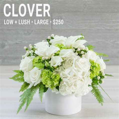 Clover Color Palette Mcardles Floral And Garden Design