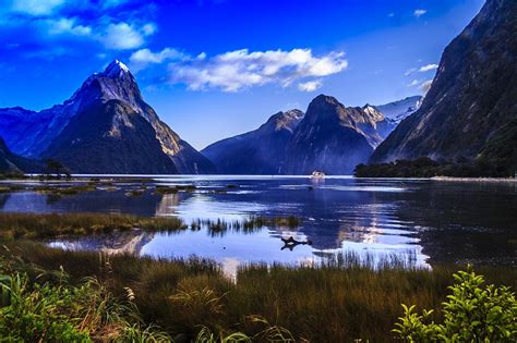 Achtergrond Natuur Nieuw Zeeland Fiordland National Park Milford
