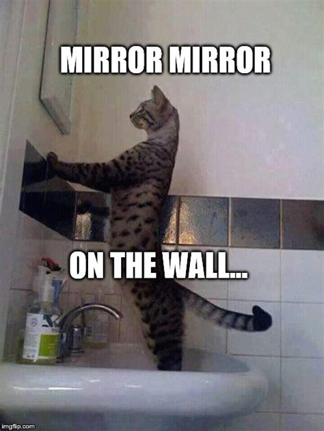mirror mirror imgflip