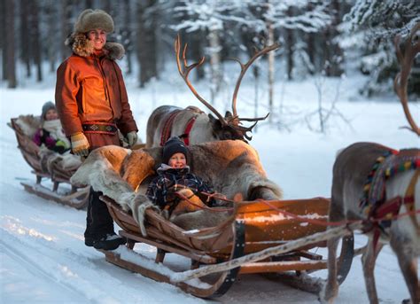 Reindeer Ride In Rovaniemi In Lapland In Santa Claus Village Finland