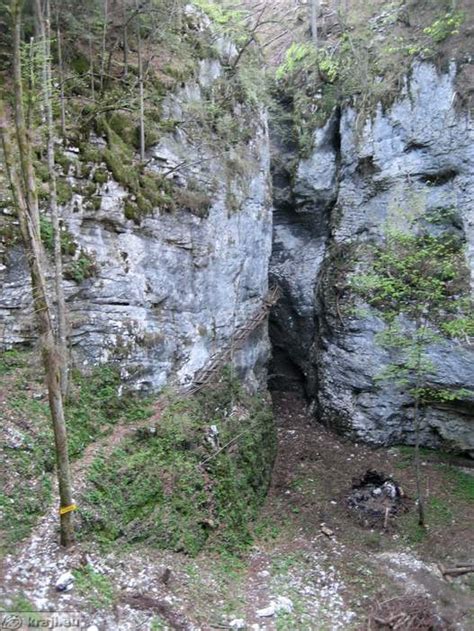 Pokljuka gorge dazzles hikers with its karst formations: Pokljuka Gorge