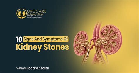 10 Signs And Symptoms Of Kidney Stones