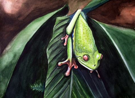 Lomaxart On Deviantart Frog Frog Animal Art Art