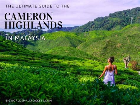 As one of malaysia's biggest hill stations, it is home to a strong tea and vegetable production industry. Cameron Highlands, Malaysia : Full Travel Guide - Big ...