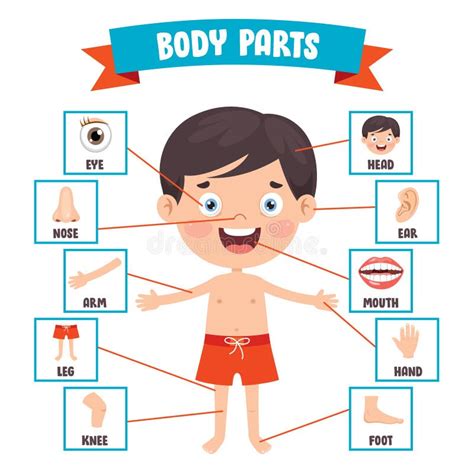 Free Body Parts Clipart