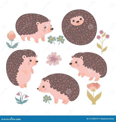 Set Of Cute Hedgehogs Isolated On A White Background Vector Graphics