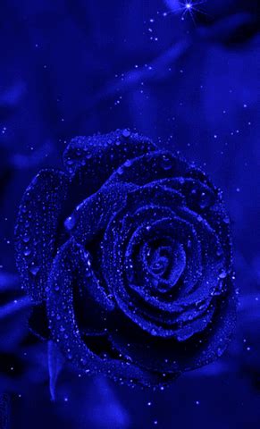 Azul GIFs - Find & Share on GIPHY