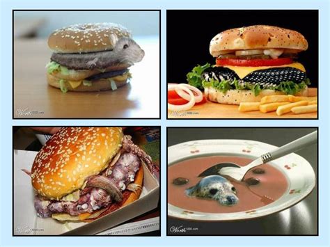 5 makanan untuk tingkatkan fungsi jantung. Pelajaran 9 : Makanan Yang Halal - Pendidikan Islam ...