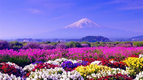 Find the best spring scenes wallpaper on wallpapertag. Spring Wallpaper 1920 X 1080 (83+ images)