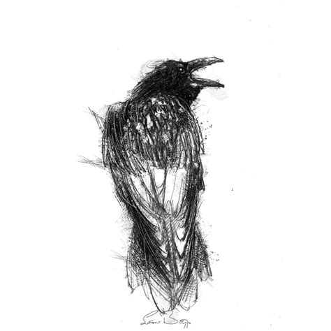 Crow Sketch Limited Edition Fine Art Print From Original Etsy