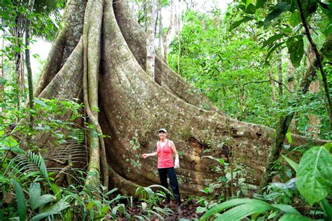 Trekking In The Amazon Rainforest Earth Trekkers